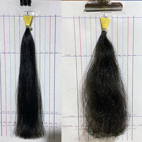 two photos of hair swatches in gh lab tests showing a comparison between a hair straightener that maintained straightness after 24 hours at left compared to one that did not maintain straightness after 24 hours at right