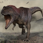 though not the largest in the carcharodontosauridae family, meraxes gigas measured around 36 feet from snout to tail tip and weighed approximately 9,000 pounds