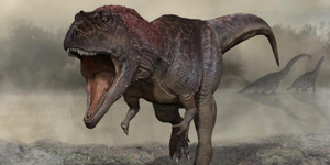 though not the largest in the carcharodontosauridae family, meraxes gigas measured around 36 feet from snout to tail tip and weighed approximately 9,000 pounds