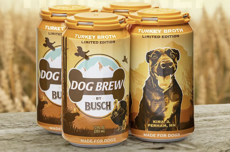 busch beer for dogs