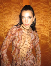 dua lipa poses against burlwood door dua lipa poses against burlwood door