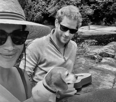 meghan and harry meghan and harry