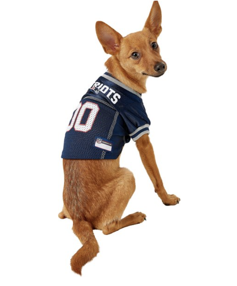 super bowl party ideas dog costumes