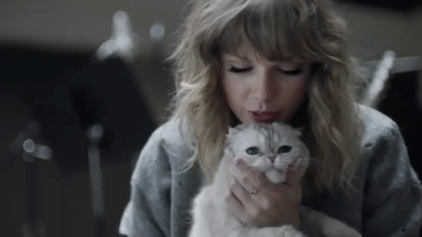 Taylor Swift's Cat, Olivia's Net Worth is Reportedly $97 Million