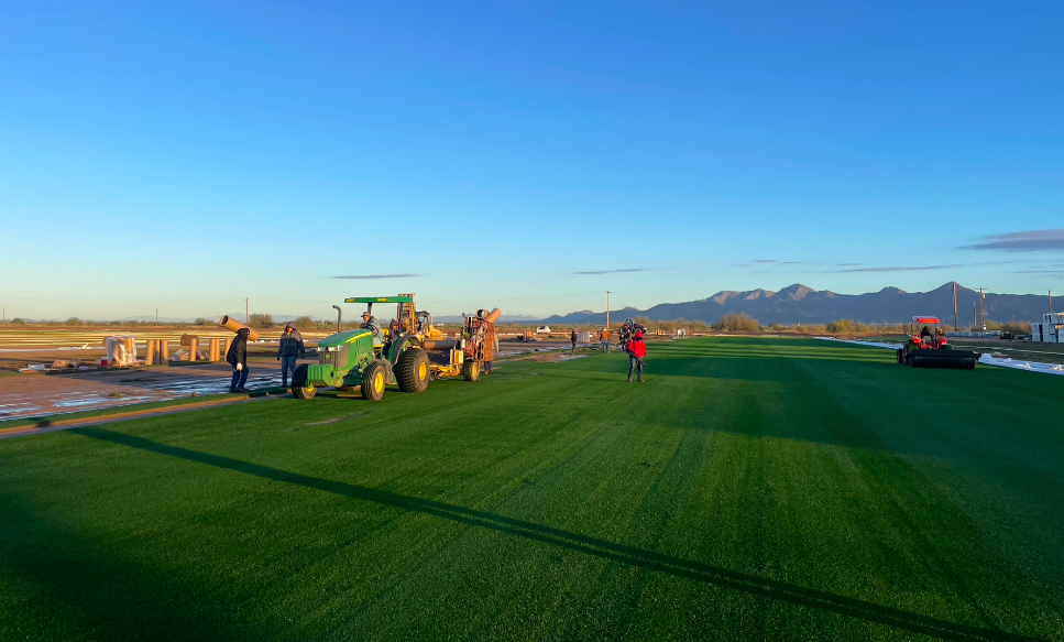 Super Bowl LVII: How the NFL prepared grass turf in the desert