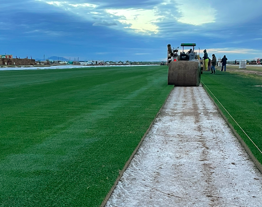 Super Bowl's grass turf required nearly 2-year process