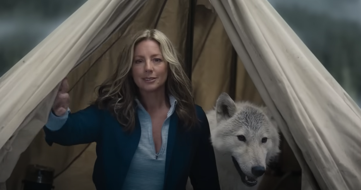 Watch Sarah McLachlan's Hilarious Busch Light Super Bowl Commercial