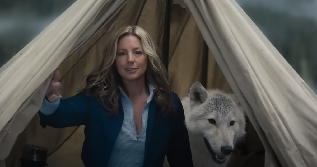 Sarah McLachlan Super Bowl Commercial Gives Busch Light National Boost