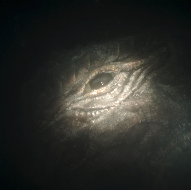 What is a Mythosaur? The Mandalorian episode 2 ending explained