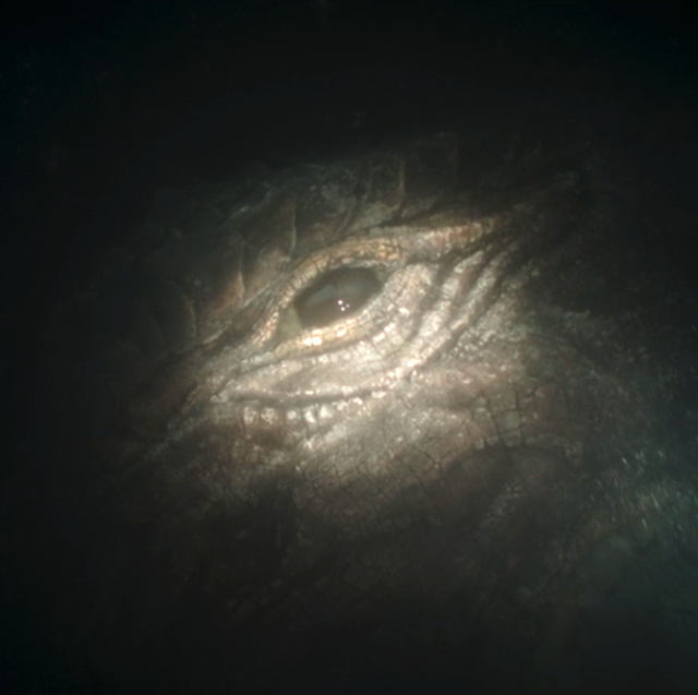 What Is a Mythosaur on 'The Mandalorian'? Explaining That Episode 2 Creature