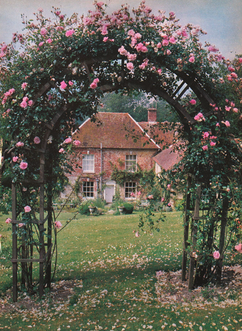 rose arch