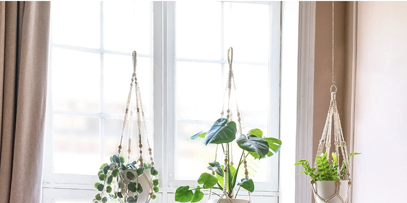 indoor hanging flower pots