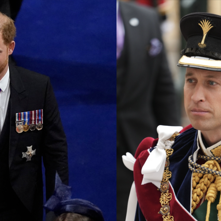 Why Prince Harry Didn't Swear Loyalty to King Charles and Prince William Did