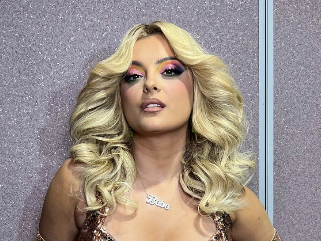 652px x 490px - Video Shows Fan Throwing Phone at Bebe Rexha's Face