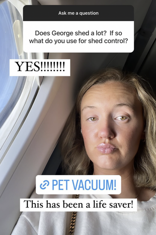 alex drummond recommends her favorite pet hair vacuum