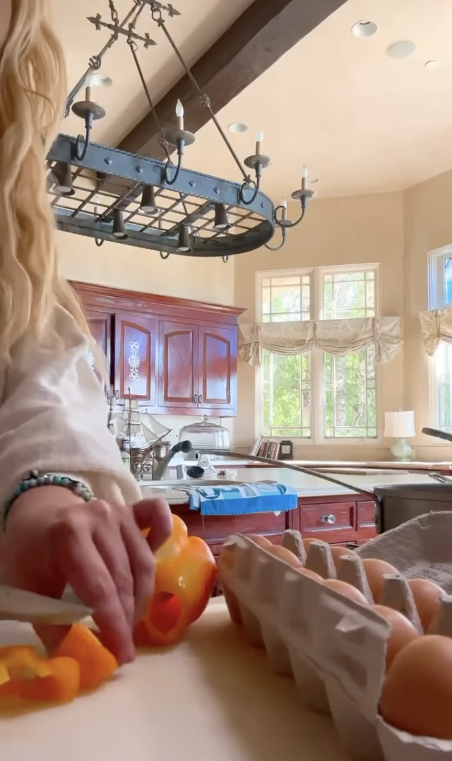 Britney Spears Shows Off Her Confusing Kitchen In A Viral Video