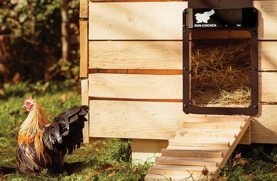 PSA: Amazon Has Some of the Best Chicken Coop Accessories