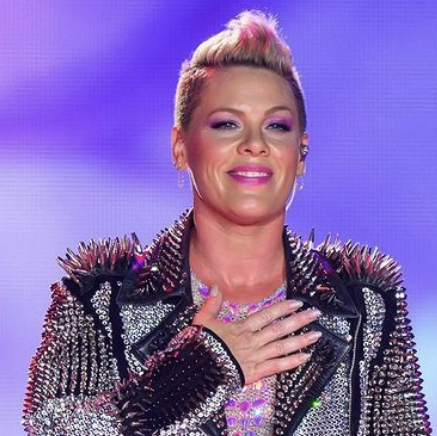 Fans Flood Pink's Instagram With Support as She Postpones Shows Due to 