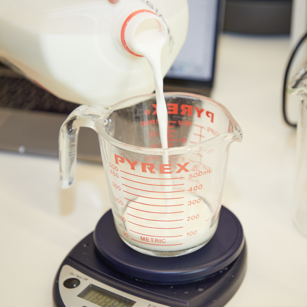 5 Best Milk Frothers 2023 Reviewed, Shopping : Food Network