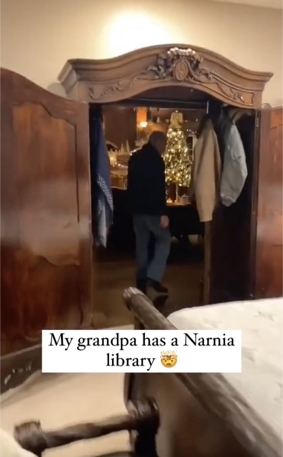 Narnia's Screen History