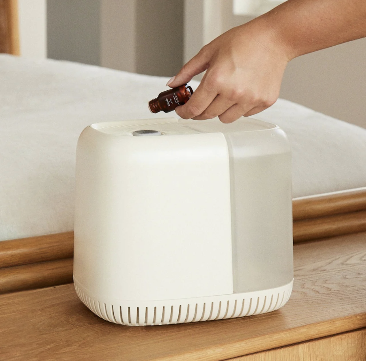 The 12 Best Humidifiers of 2023 to Combat Static and Dryness in Your Home  This Winter
