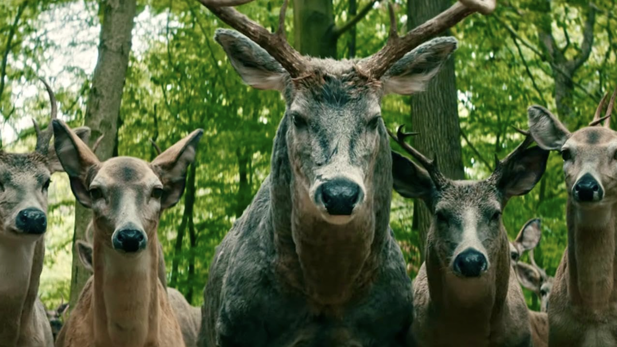 What is the meaning of the deer in Leave the World Behind?