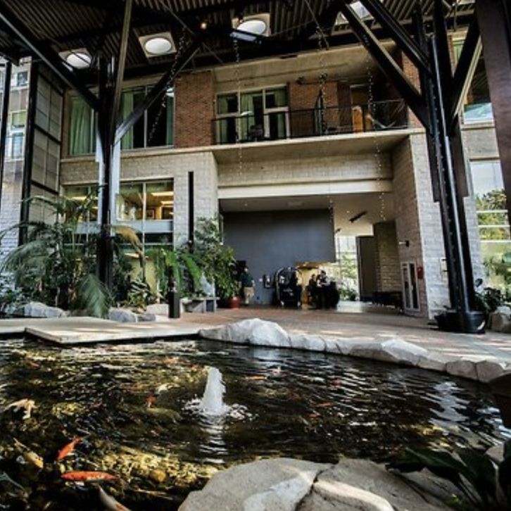 a pond in a building