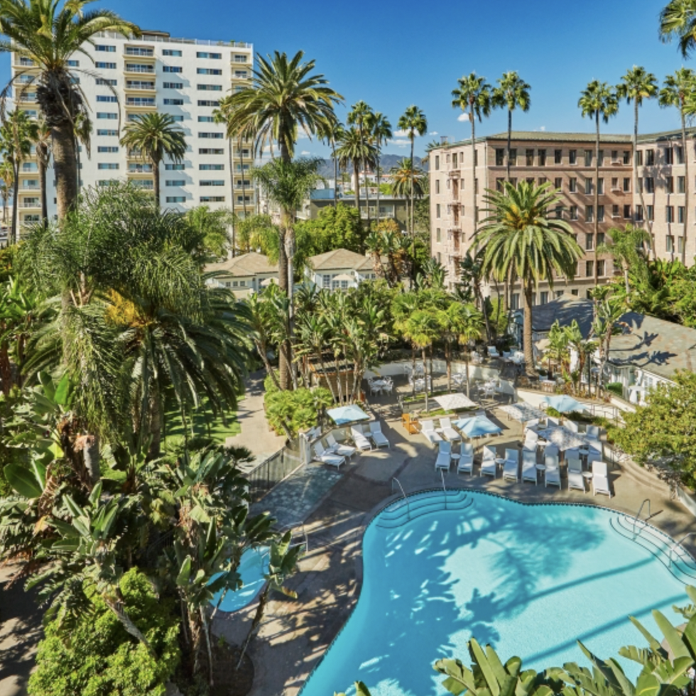 a pool surrounded by palm trees and buildings