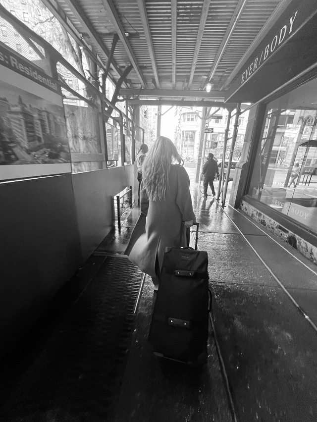 a person with a suitcase waiting for a train