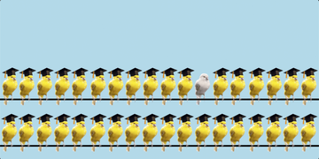 birds on a wire wearing graduation caps