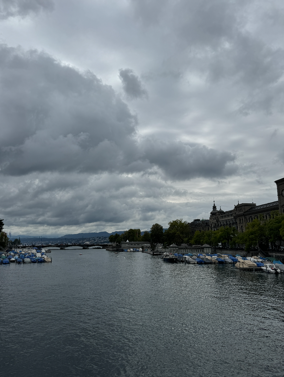 view of lake zurich