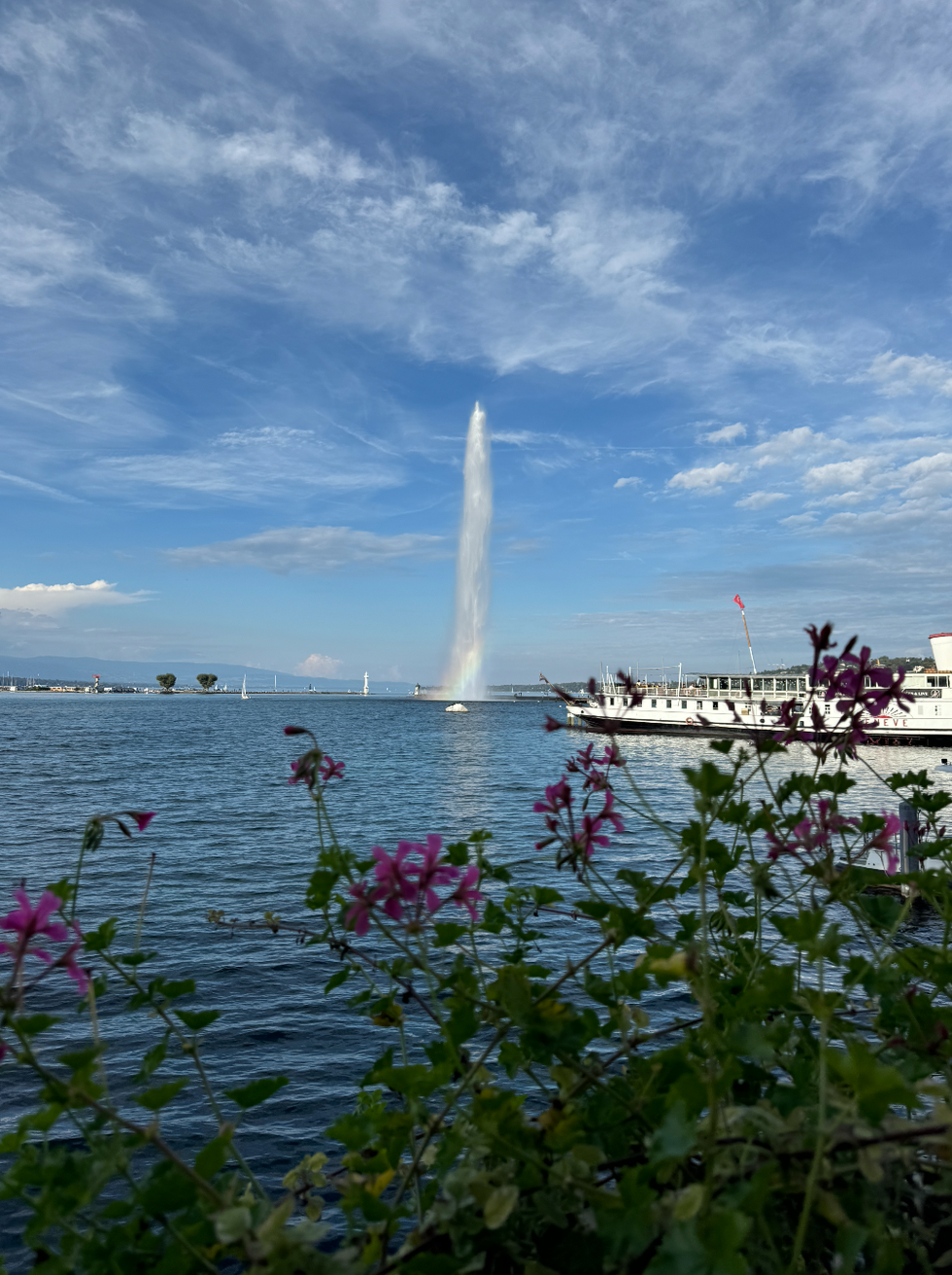 jet d'eau de genève in the distance