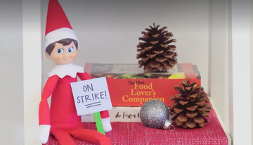 elf doll holding a sign on a shelf with pine cones and books