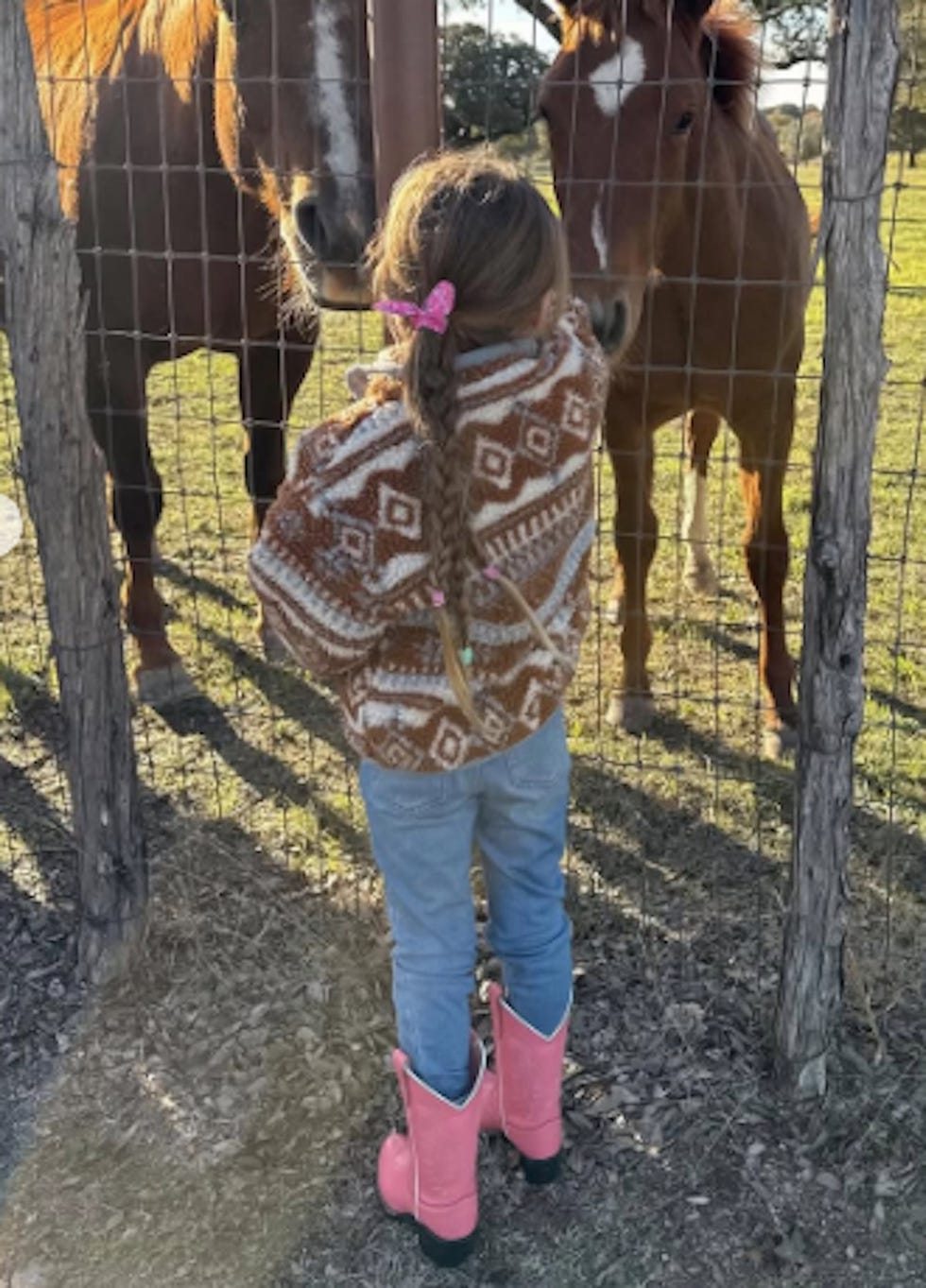 a child interacting with two horses at a fence
