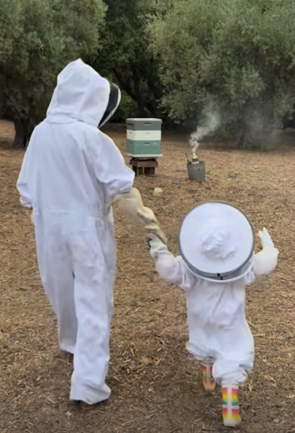 beekeeping