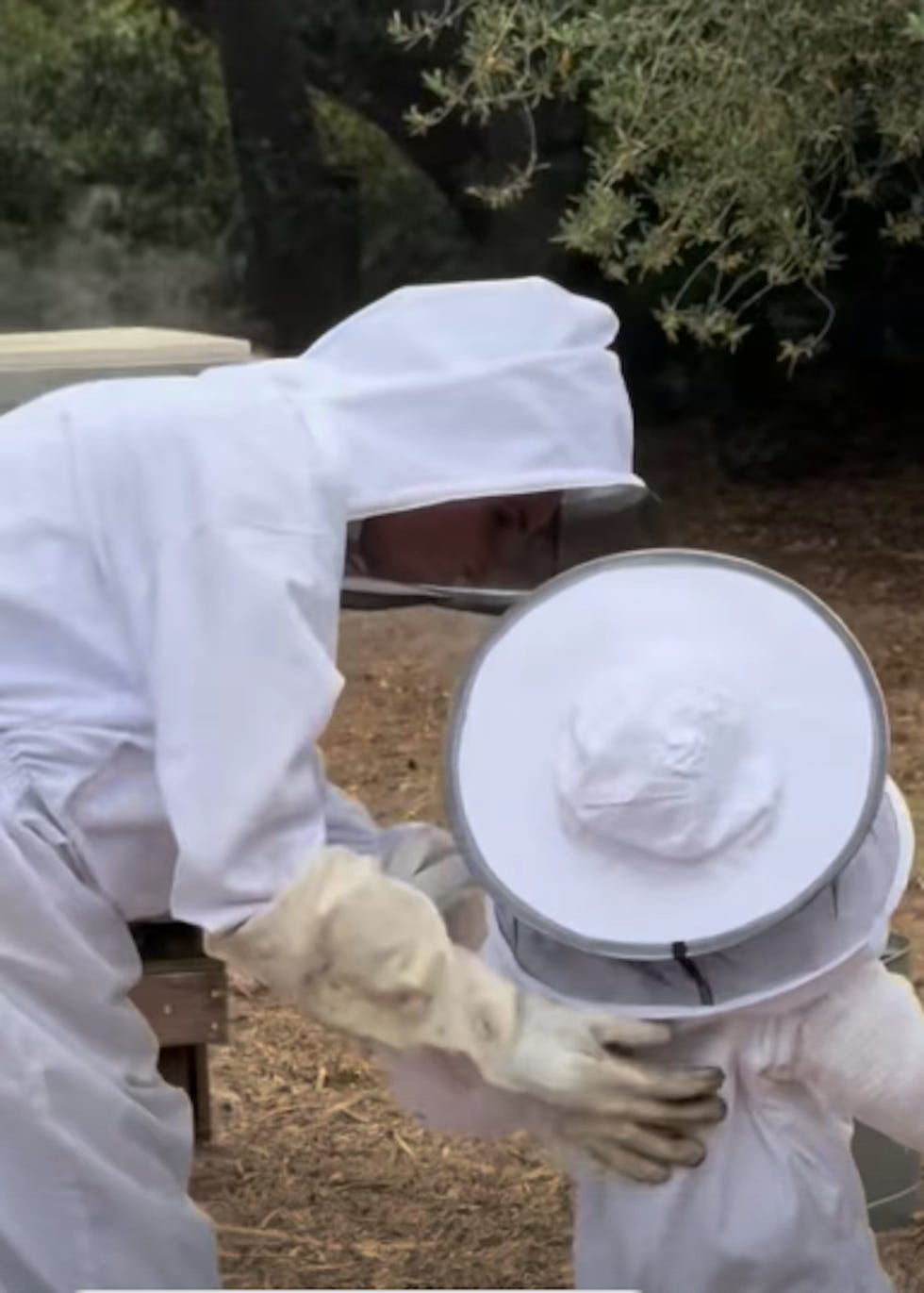 beekeeping