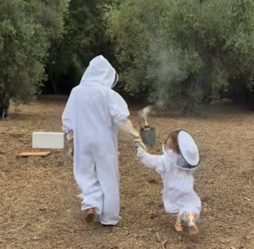 adults and children engaging in beekeeping activities in an olive grove