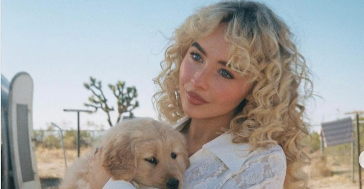 Who Is Sabrina Carpenter's New Song "Manchild" About?