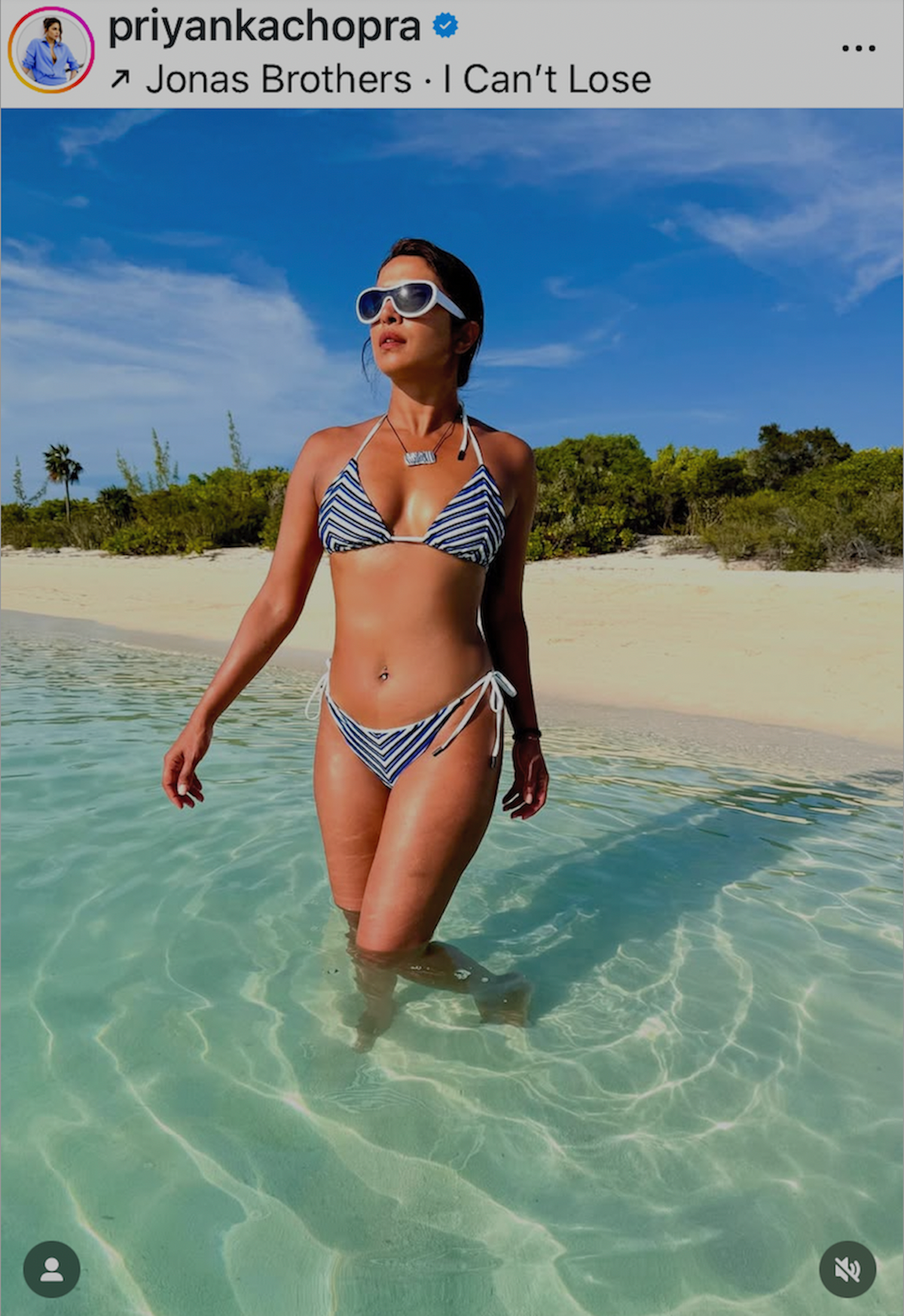 Priyanka Chopra Celebrates Her 43rd Birthday With a Bikini Photo Dump