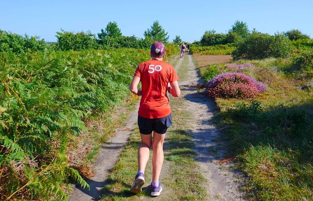 Trail, Outdoor recreation, Natural landscape, Recreation, Jogging, Nature reserve, Plant community, Grass, Running, Plant, 