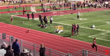 dog jumps onto track