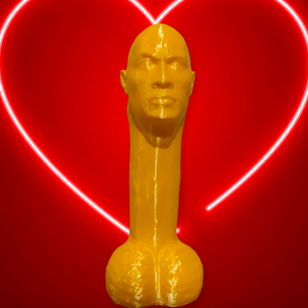 the rock sex toy