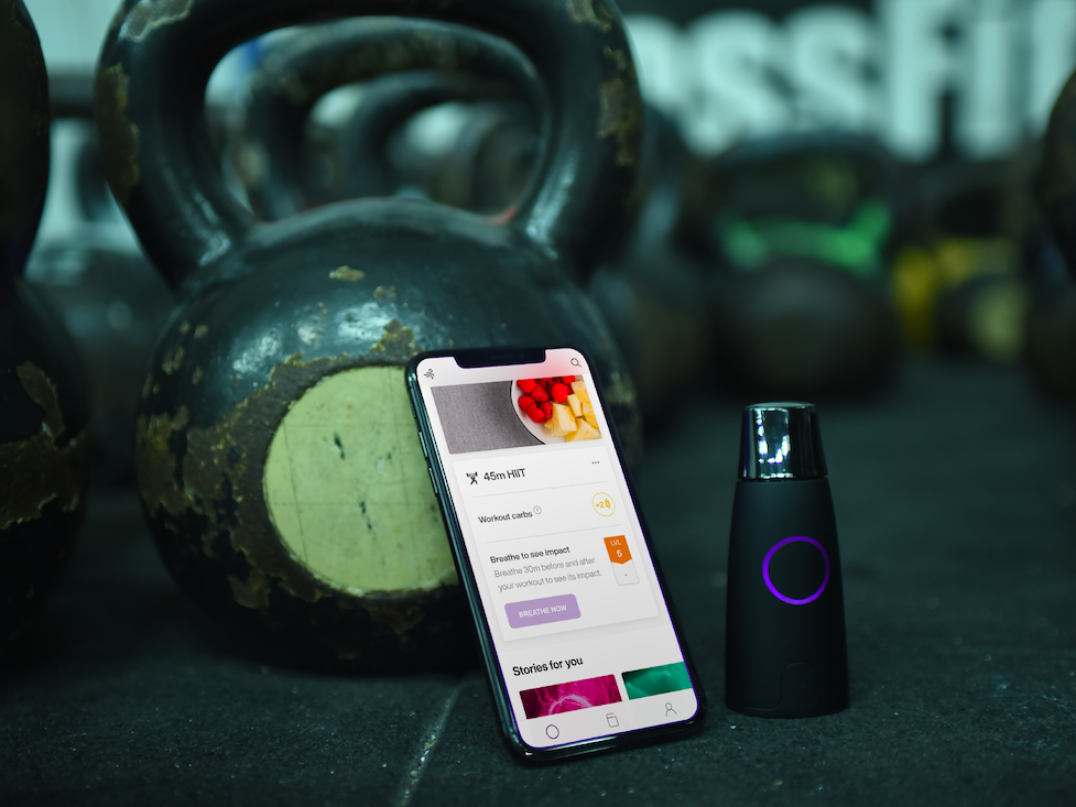 We used Lumen and the Apple Watch to hack our metabolism - Wareable