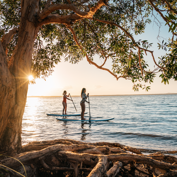 paddle boarding queensland