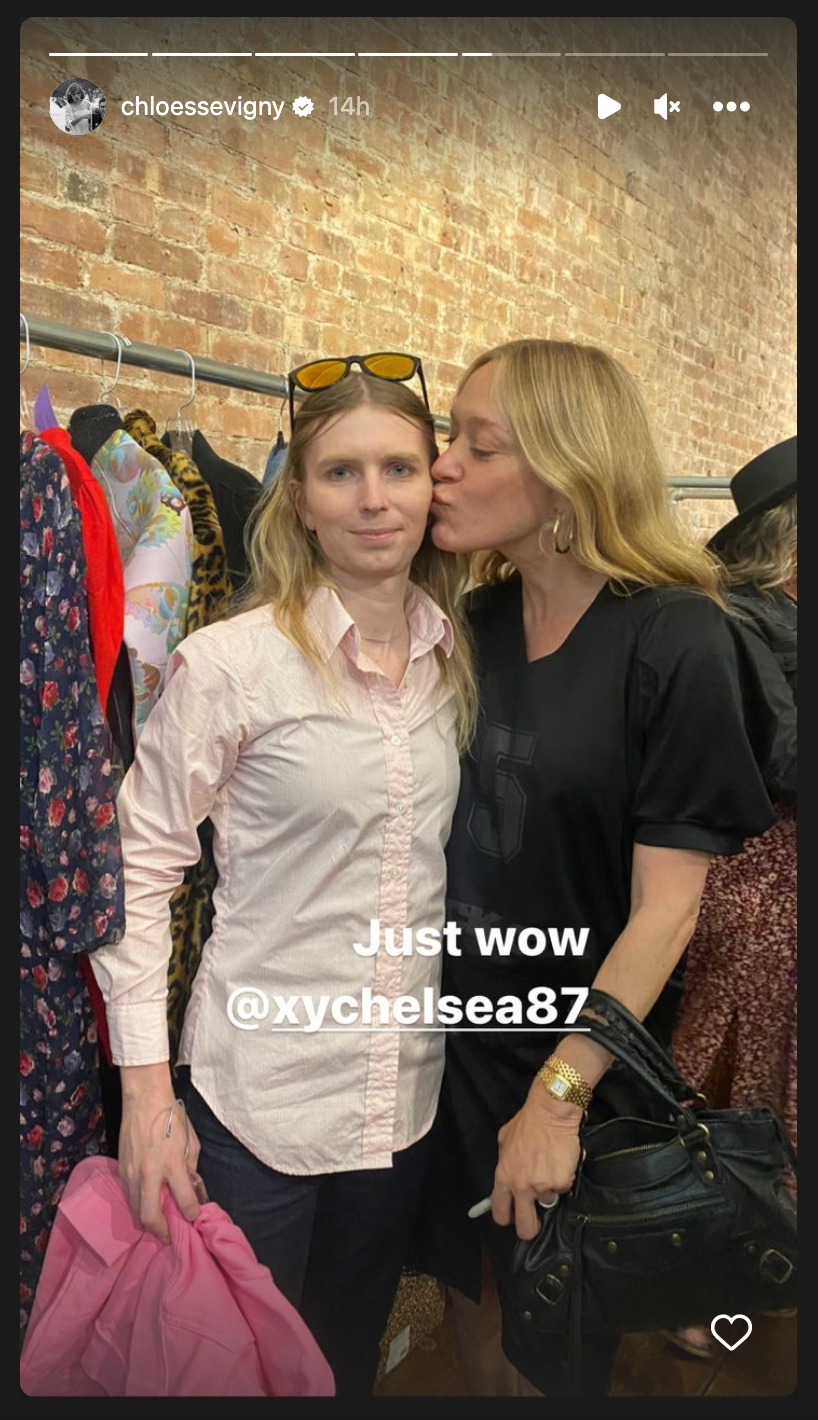 chloe sevigny chelsea manning closet sale