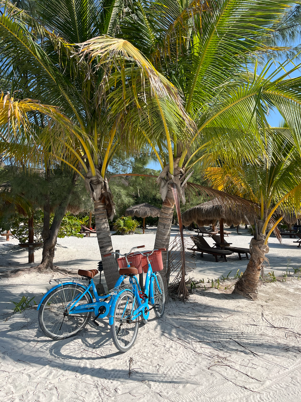 panduan perjalanan holbox