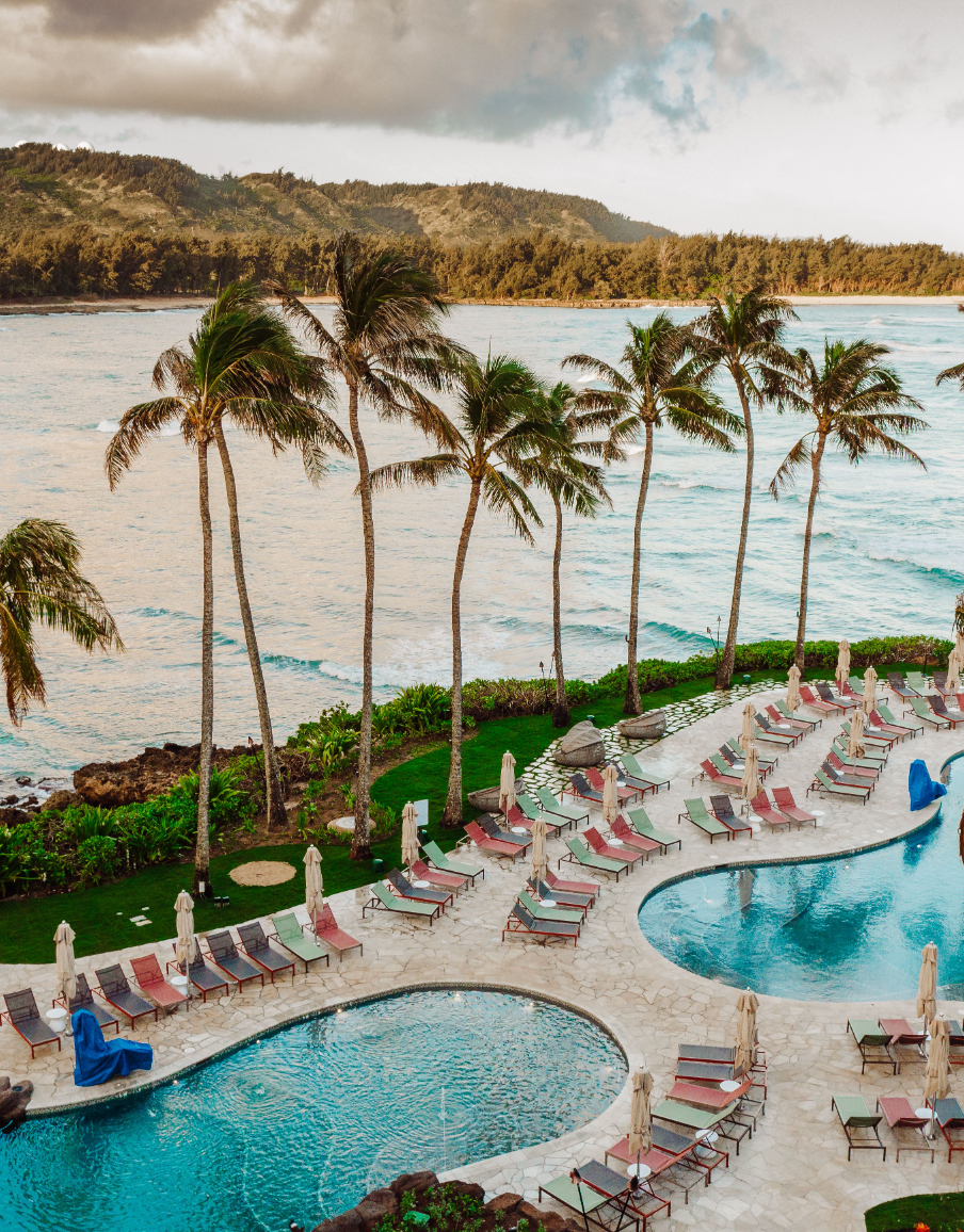 turtle bay resort