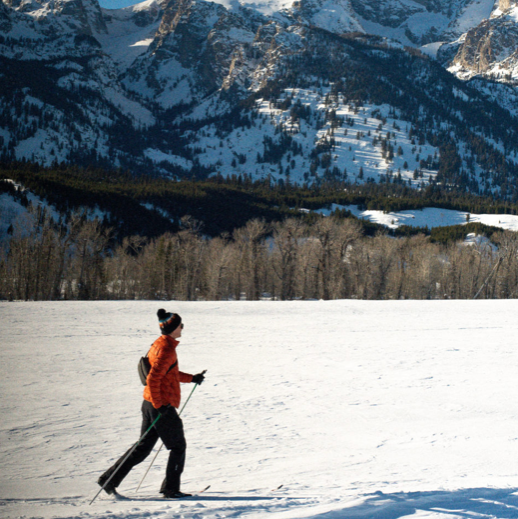 the virginian lodge jackson hole