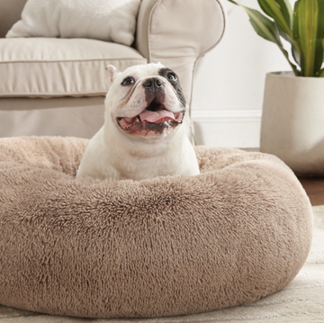 bedsure calming dog bed for small dogs