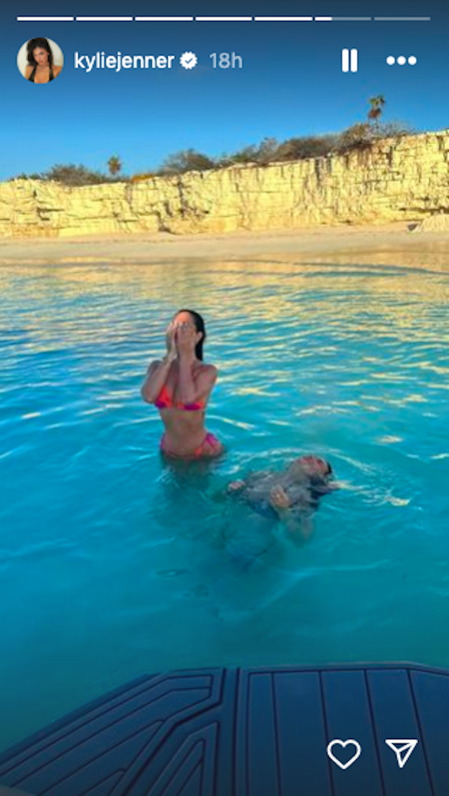 a person and a dog in a pool